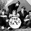 The Yanks